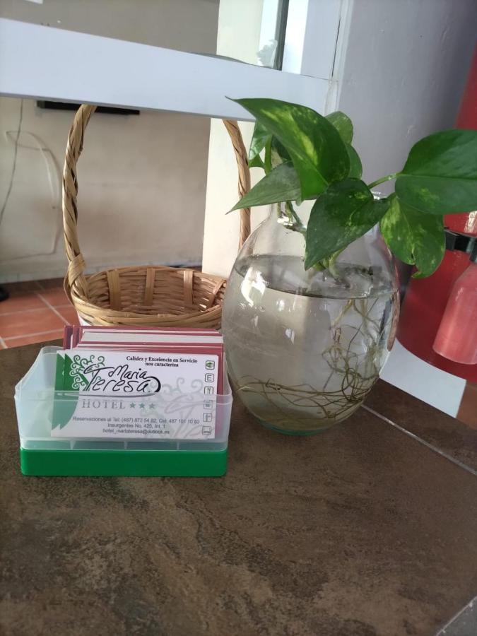 Hotel Maria Teresa Río Verde Zewnętrze zdjęcie